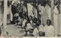 Preparing Bark Cloth. Uganda