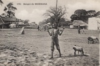 Berger de Mombasa