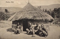 Native Hut