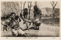 Vanika drinking. Tambo