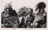 Kikuyu Chiefs