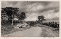 Jinja-Kampala Road
