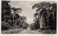 Jinja - Kampala Road