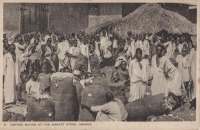 Cotton buying at the Market stote, Uganda