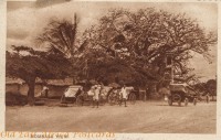 Mombasa View (rickshaws and baobab)