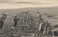 Entebbe, Uganda - Framing Native Hut