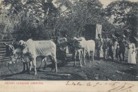 Mengo, Luggage arriving