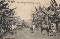 Road through Native Village. Uganda