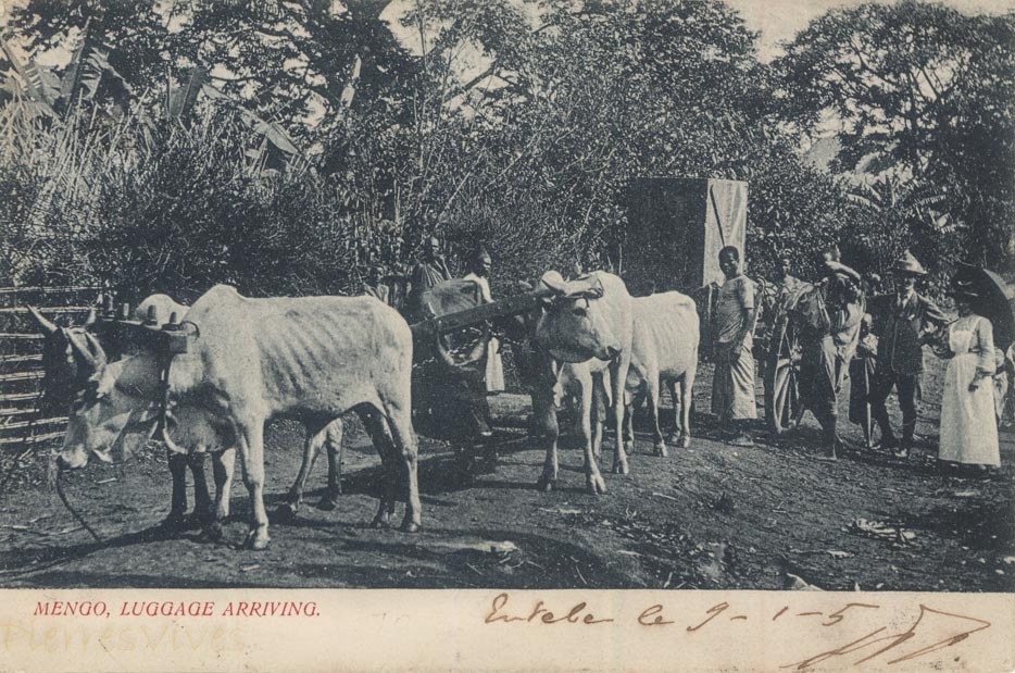 Mengo Archives - Old East Africa Postcards