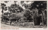 In the Botanic Gardens, Entebbe, Uganda -