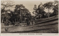 Botanical Gardens, Entebbe