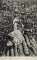 Public Spring. Uganda. Women drawing water