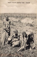 Native women cleaning road. Uganda