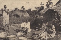 Uganda - Natives at basket work