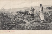 Road making, Uganda