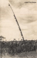 A Quail Trap. Busoga