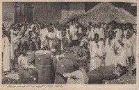 Cotton buying at the Market store, Uganda