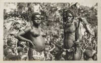 nil (couple of Pygmes)