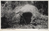 Hut in Bamboo Forest