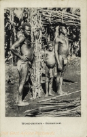 Wood-carriers - Ruwenzori