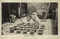 The Potter