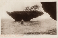 Sea-Birds Shelter in Sea, Zanzibar