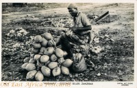 "Madaafu" - Coconut Seller