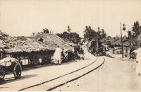 Nil (Train through a village)