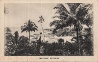 Zanzibar Scenery