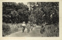 nil (women walking on a road)