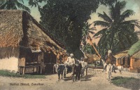 Native street, Zanzibar