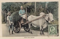 Native Cart. Zanzibar