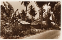 Zanzibar, a Native Village