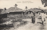 Huts and typical Natives