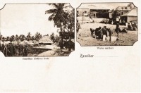 Zanzibar native huts + Water carriers
