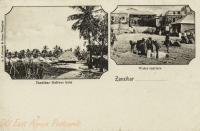 Zanzibar Native Huts + Water Carriers