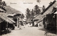 Native duarlers