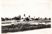 nil (Zanzibar, the Creek, low tide)