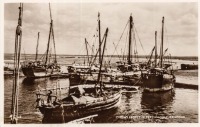 Dhows from the Persian Gulf, Zanzibar