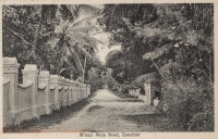 M nazi Moja Road, Zanzibar