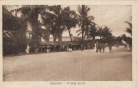 Zanzibar - A large street
