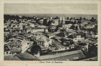 Town View of Zanzibar